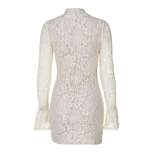 Luxury Women's Sexy Lace Hollow Out Bodycon Mini Dress