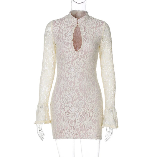 Luxury Women's Sexy Lace Hollow Out Bodycon Mini Dress